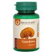 Ganoderma, 60 comprimate, Dacia Plant 737642