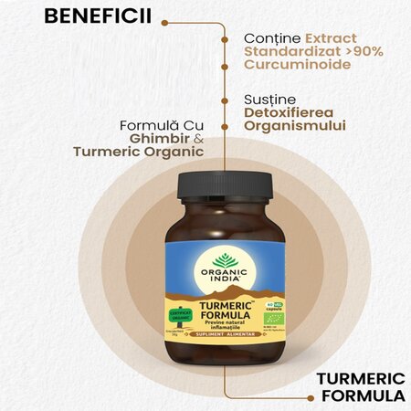 Turmeric Bio Formula, 60 capsule vegetale, Organic India 718664