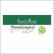 PlantaGingival, 10 ml, Plant Extrakt 734466