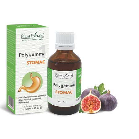 Polygemma 1, Stomac, 50 ml, Plant Extrakt 731785