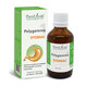 Polygemma 1, Stomac, 50 ml, Plant Extrakt 562820