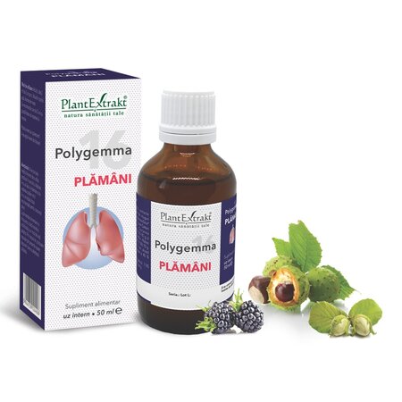 Polygemma 16, Plamani, 50 ml, Plant Extrakt 731829
