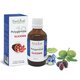 Polygemma 19 Glicemie, 50 ml, Plant Extrakt 731846