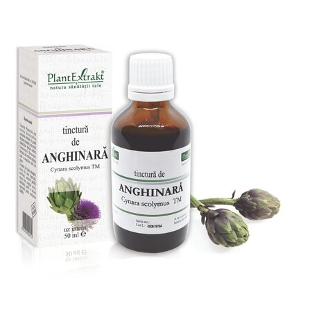 Tinctura de Anghinara, 50 ml, Plant Extrakt 738337