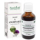 Tinctura de Anghinara, 50 ml, Plant Extrakt 555869