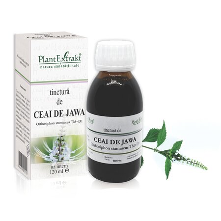 Tinctura de Ceai de Jawa, 120 ml, Plant Extrakt 738421
