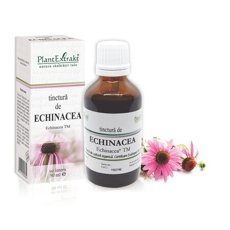 Tinctura de Echinacea, 50 ml, Plant Extrakt 738438