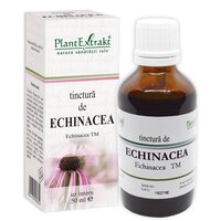 Tinctura de Echinacea, 50 ml, Plant Extrakt