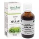 Tinctura de Marar, 50 ml, Plant Extrakt 738469