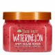 Exfoliant pentru corp Watermelon, 510 g, Tree Hut 556117