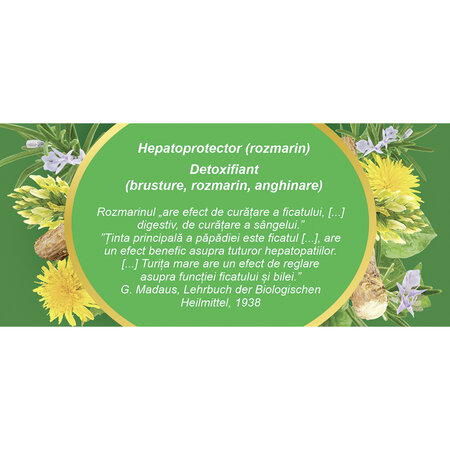 Ceai Hepatofit, 20 plicuri, Fares 623997