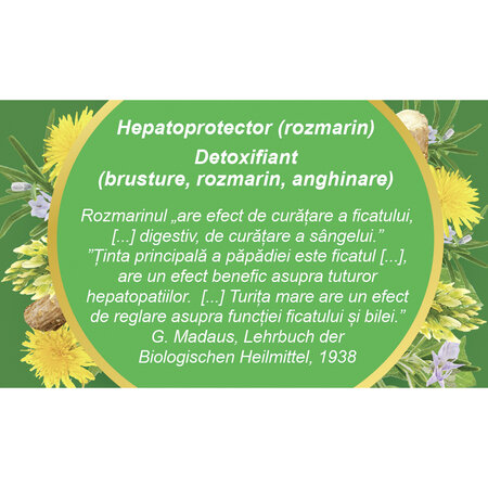 Ceai Hepatofit, 50 g, Fares 624002