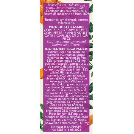Fitodolor cronic, L99, 30 capsule, Fares 614459