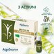 Nectar de Chlorella Bio, 5 flacoane x 30 ml, Algosourse 625269