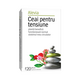 Ceai pentru Tensiune, 20 plicuri, Alevia 619005