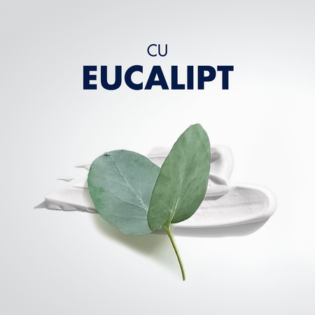 Spuma de ras racoritoare cu eucalipt Series, 250 ml, Gillette 558253