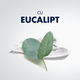 Spuma de ras racoritoare cu eucalipt Series, 250 ml, Gillette 558253