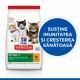 Hrana cu pui pentru pisici Kitten, 300 g, Hill’s SP 562380