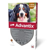 Solutie deparazitara pentru caini 40-60 kg Spot-On Advantix 600, 1 pipeta, Elanco