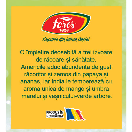 Ceai rece cu papaya mango si ananas, 12 plicuri, Fares 621004