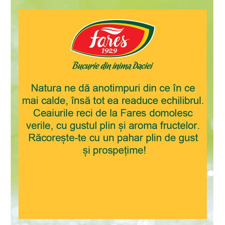 Ceai rece cu papaya mango si ananas, 12 plicuri, Fares 621000