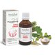 Polygemma 21 Dinti, Gingii, 50 ml, Plant Extrakt 731848