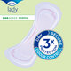 Absorbante Lady Normal, 24 bucati, Tena 620312