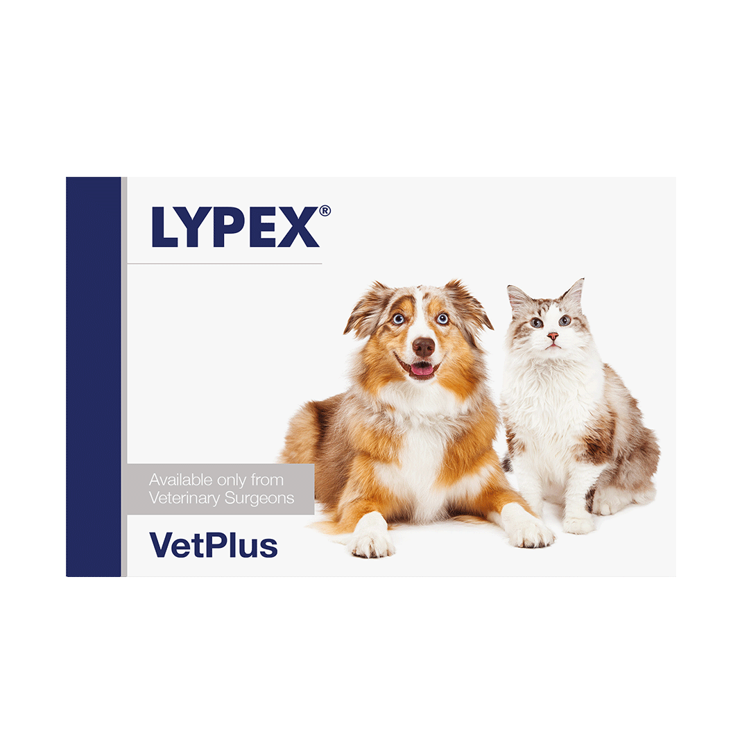 Supliment adjuvant impotriva sindromului de malabsorbtie la caini si pisici Lypex, 60 capsule, VetPlus