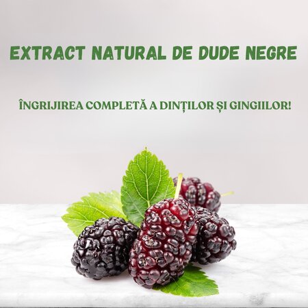 Pasta de dinti cu extract natural din dude negre pentru copii intre 2-6 ani, 60 ml, Eyup Sabri Tuncer 614926