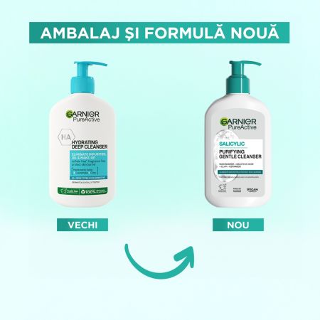 Gel de curatare purifiant Pure Active, 250 ml, Garnier 674607