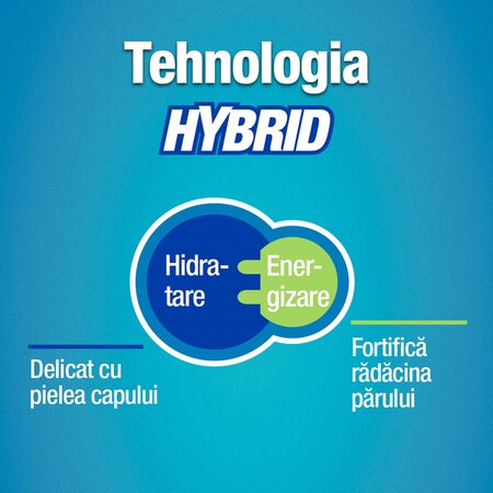 Sampon pentru scalp sensibil cu prurit Hybrid Caffeine, 250 ml, Alpecin 721358