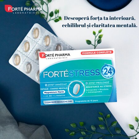 Forte Stress 24h, 15 comprimate, Forte Pharma 599819
