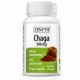 Chaga, 500 mg, 30 capsule vegetale, Zenyth 567611