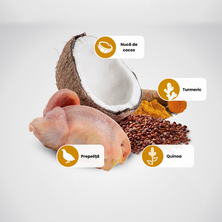 Hrana uscata cu prepelita, quinoa si cocos pentru pisici N&D Quinoa, 1500 g, Farmina 700740