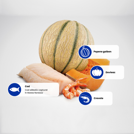 Hrana uscata cu cod, creveti, dovleac si pepene pentru pisici N&D Ocean Kitten, 300 g, Farmina 700722