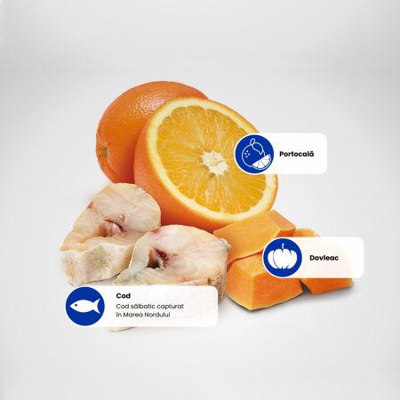 Hrana uscata cu cod, dovleac si portocale pentru caini N&D Ocean, 2500 g, Farmina 700695