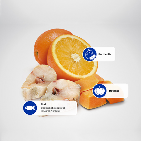 Hrana uscata cu cod, dovleac si portocale pentru caini N&D Ocean, 2500 g, Farmina 700695