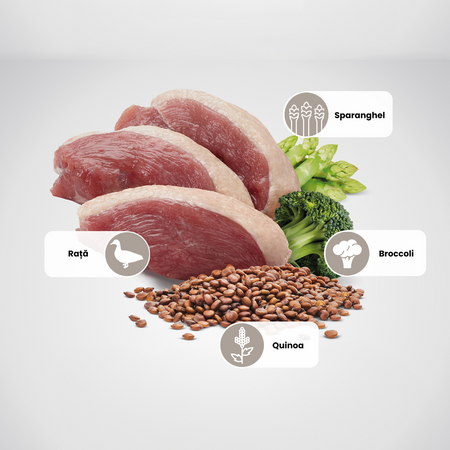 Hrana uscata cu rata, quinoa si broccoli pentru pisici N&D Quinoa Neutered, 1500 g, Farmina 700670