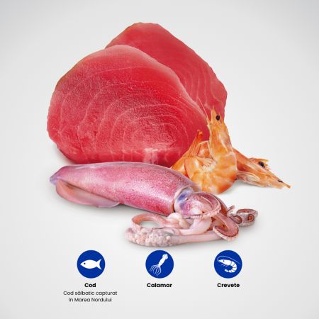 Hrana umeda cu ton, calamar si creveti pentru pisici N&D Ocean, 70 g, Farmina 700576