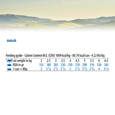 Hrana umeda cu ton, calamar si creveti pentru pisici N&D Ocean, 70 g, Farmina 700575