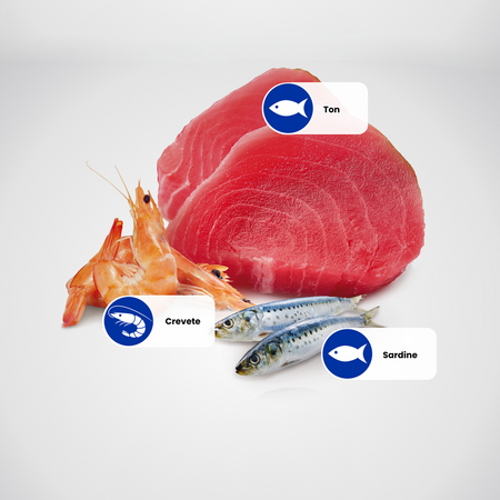 Hrana umeda cu ton, sardine si creveti pentru pisici N&D Ocean, 70 g, Farmina 700569