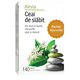Ceai de slabit, 40 plicuri, Alevia 619014