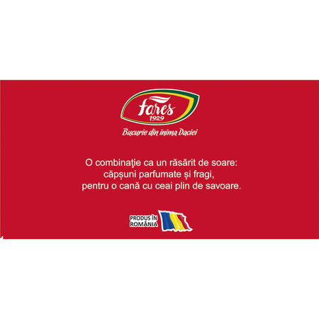 Ceai cu capsuni si fragi Aromfruct, 100 plicuri, Fares  624049