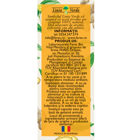 Supliment alimentar Imunitate Respirator si Digestiv, F160, 42 capsule, Fares 614280