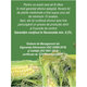 Ceai matase de porumb U 80, 20 plicuri, Fares 618507