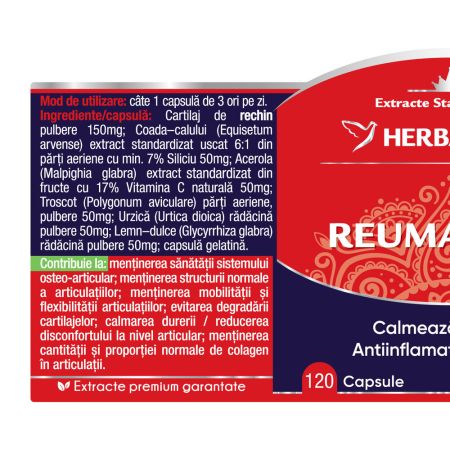 Reumatofit, 120 capsule, Herbagetica 688829