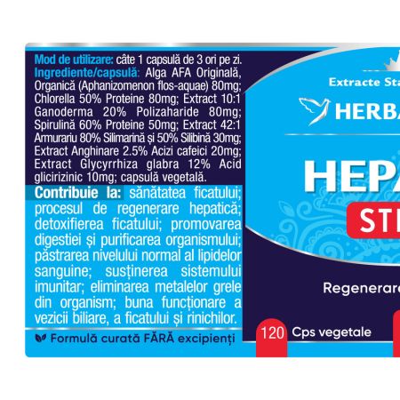 Hepatic Stem, 120 capsule, Herbagetica 688649