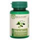 HerboTensin, 60 comprimate, Dacia Plant 737812