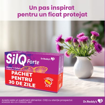 Pachet SilQ Forte, 15 + 15 capsule, Dr. Reddys 655025