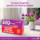 Pachet SilQ Forte, 15 + 15 capsule, Dr. Reddys 655025